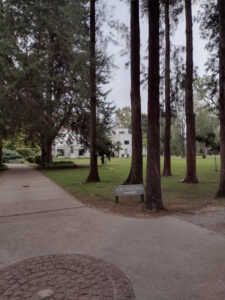 Walter Poyo Propiedades Parcela Parque de la Gloria