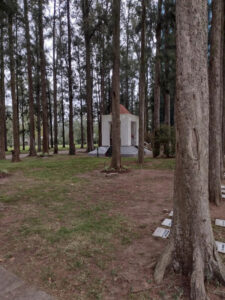 Walter Poyo Propiedades Parcela Parque de la Gloria