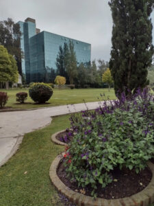 Walter Poyo Propiedades Parcela Parque de la Gloria