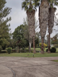 Walter Poyo Propiedades Parcela Parque de la Gloria