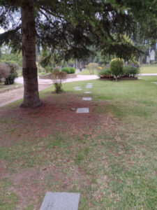 Walter Poyo Propiedades Parcela Parque de la Gloria