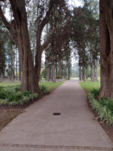 Walter Poyo Propiedades Parcela Parque de la Gloria